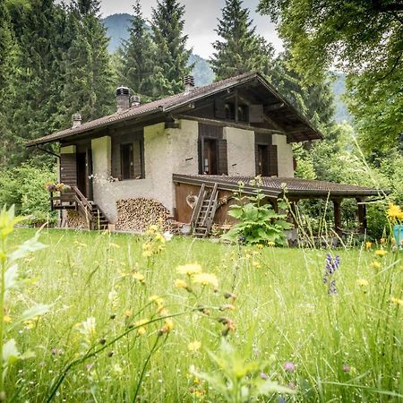 Vila Chalet Silenthia Lenzumo di Concei Exteriér fotografie